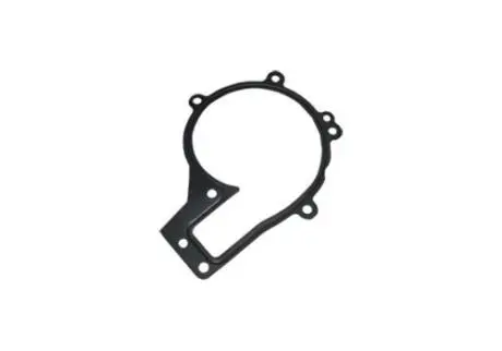 Прокладка помпы M11 (M11) CHERY 484FC-1307041