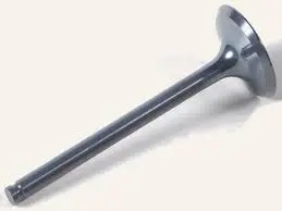 Клапан випускний Beat CHERY 473H-1007012CA