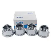 Поршень 4шт комплект + пальці 0.25 CDN 10096071-00-1
