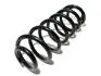 Пружина задня Chery Tiggo 4 KLM KLM AutoParts T15-2912011BA (фото 1)