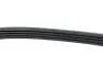 Ремінь ГПКа 2,4L 4PK1100 Great Wall Hover KLM AutoParts 3412011-K00 (фото 2)
