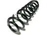 Пружина задня Chery Tiggo 7 KLM AutoParts T15-2912011 (фото 1)