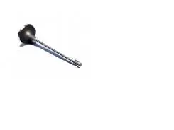 Клапан впускний CHERY 481h-1007011ca