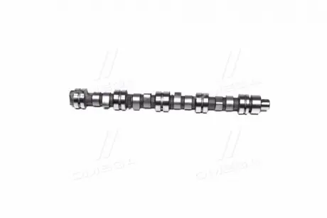 Распредвал Chery Amulet/Karry RIDER 480EE-BJ1006015