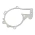 Прокладка насоса водянного Chery Elara Aftermarket 481H-1307041 (фото 1)