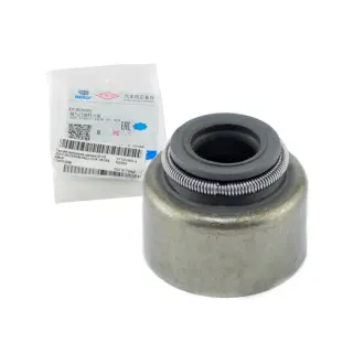 Сальник клапана (компл. 8 шт) GEELY E010520005