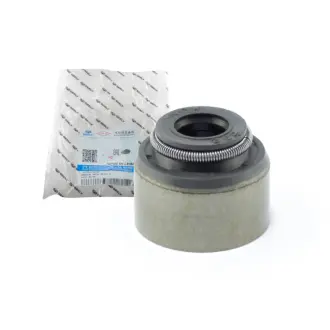 Сальник клапана GEELY E010510005